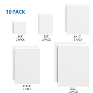 Set of 10 Blank Canvases